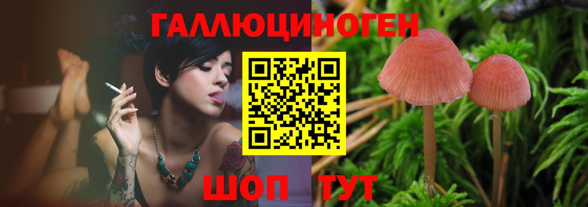 Галлюциногенные грибы мухоморы Саянск